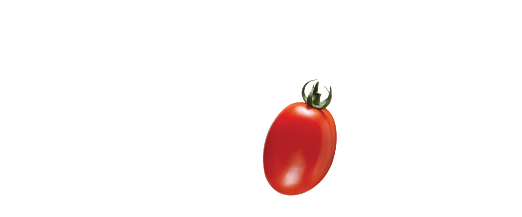 Tomate2_Image