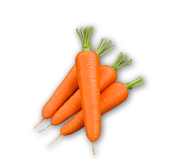 Zanahoria