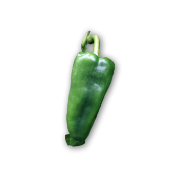 Chile picante