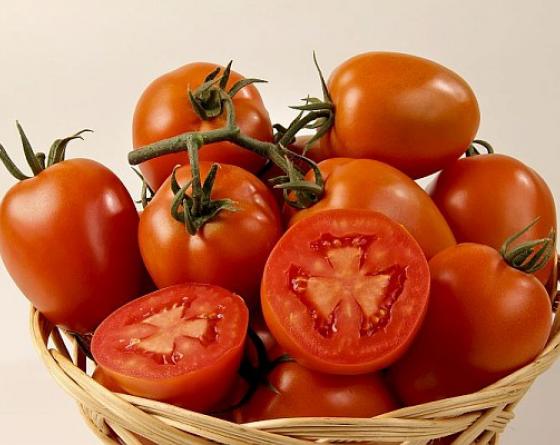 Aguamiel tomate Vilmorin experto semillas mexico 