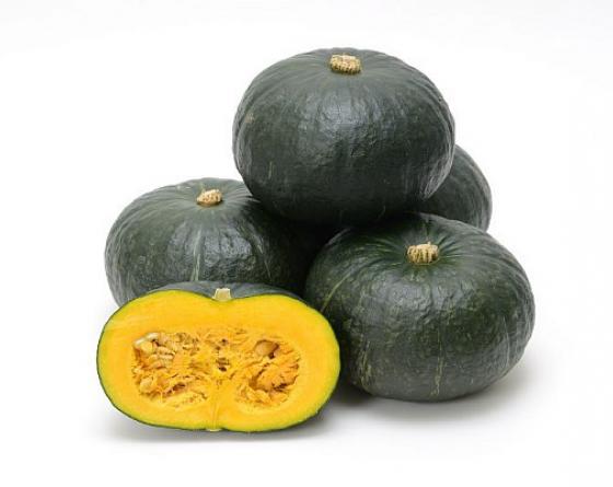 Manzoku best kabocha variety vilmorin-mikado